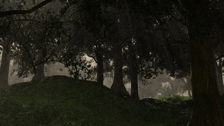 3D Forest